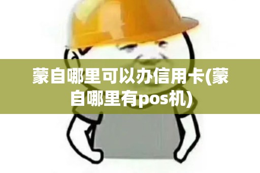 蒙自哪里可以办信用卡(蒙自哪里有pos机)
