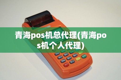 青海pos机总代理(青海pos机个人代理)