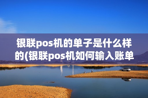 银联pos机的单子是什么样的(银联pos机如何输入账单)