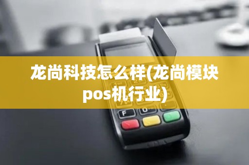 龙尚科技怎么样(龙尚模块pos机行业)