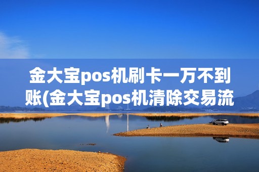 金大宝pos机刷卡一万不到账(金大宝pos机清除交易流水)