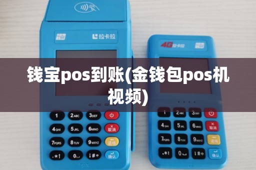 钱宝pos到账(金钱包pos机视频)