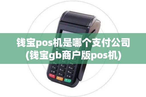 钱宝pos机是哪个支付公司(钱宝gb商户版pos机)