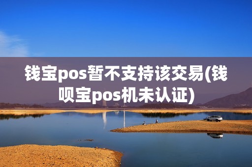 钱宝pos暂不支持该交易(钱呗宝pos机未认证)