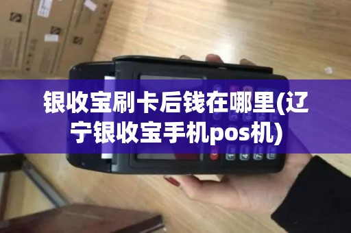 银收宝刷卡后钱在哪里(辽宁银收宝手机pos机)