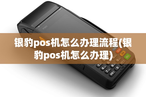 银豹pos机怎么办理流程(银豹pos机怎么办理)