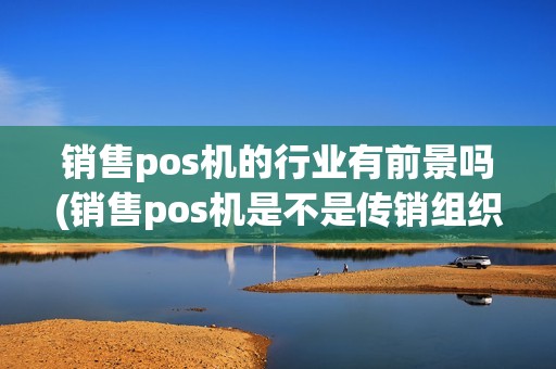 销售pos机的行业有前景吗(销售pos机是不是传销组织)
