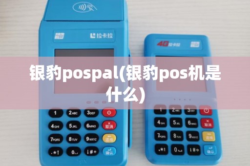 银豹pospal(银豹pos机是什么)