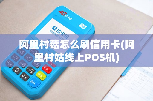阿里村菇怎么刷信用卡(阿里村姑线上POS机)