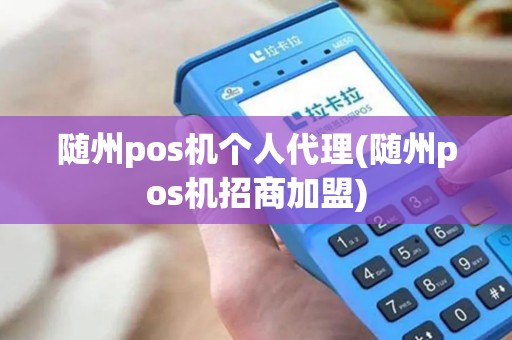 随州pos机个人代理(随州pos机招商加盟)