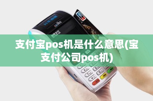 支付宝pos机是什么意思(宝支付公司pos机)