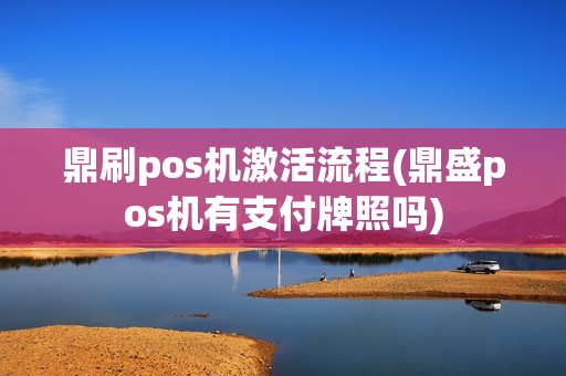 鼎刷pos机激活流程(鼎盛pos机有支付牌照吗)