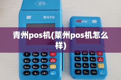 青州pos机(莱州pos机怎么样)