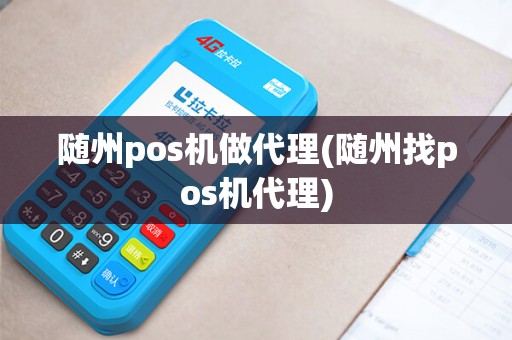 随州pos机做代理(随州找pos机代理)