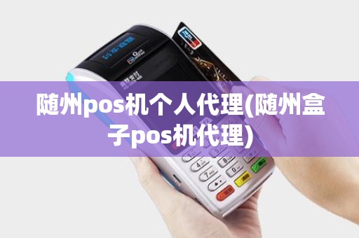 随州pos机个人代理(随州盒子pos机代理)
