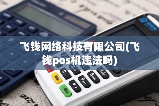 飞钱网络科技有限公司(飞钱pos机违法吗)