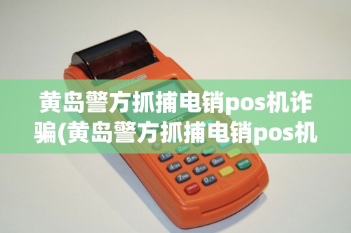黄岛警方抓捕电销pos机诈骗(黄岛警方抓捕电销pos机)