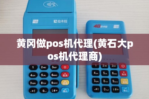 黄冈做pos机代理(黄石大pos机代理商)