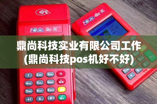 鼎尚科技实业有限公司工作(鼎尚科技pos机好不好)