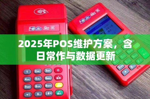 2025年POS维护方案，含日常作与数据更新