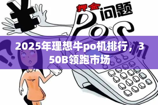 2025年理想牛po机排行，350B领跑市场
