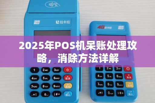 2025年POS机呆账处理攻略，消除方法详解