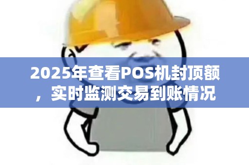 2025年查看POS机封顶额，实时监测交易到账情况