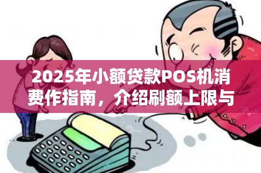 2025年小额贷款POS机消费作指南，介绍刷额上限与风险