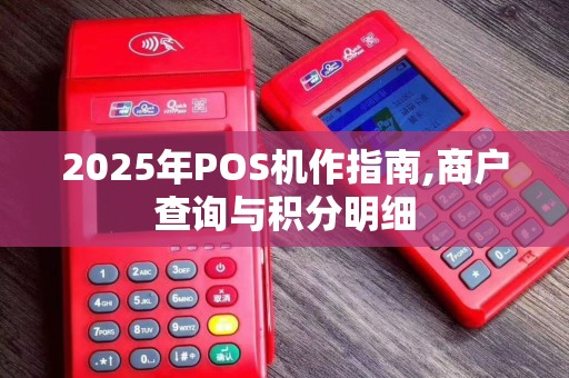 2025年POS机作指南,商户查询与积分明细