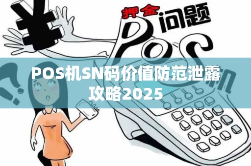 POS机SN码价值防范泄露攻略2025