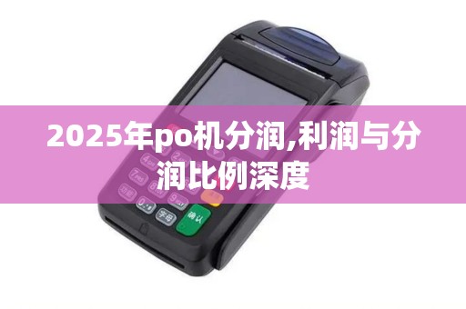 2025年po机分润,利润与分润比例深度