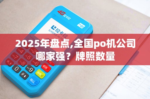 2025年盘点,全国po机公司哪家强？牌照数量
