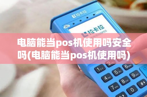 电脑能当pos机使用吗安全吗(电脑能当pos机使用吗)