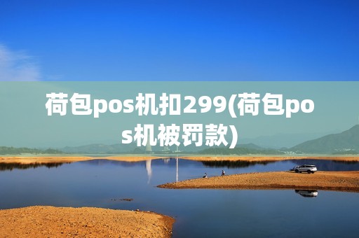 荷包pos机扣299(荷包pos机被罚款)