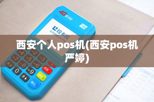 西安个人pos机(西安pos机严婷)
