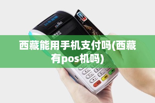 西藏能用手机支付吗(西藏有pos机吗)