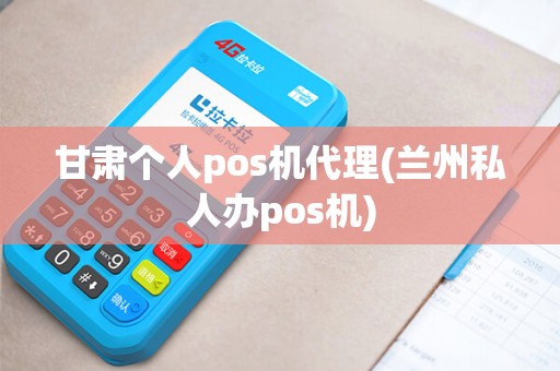 甘肃个人pos机代理(兰州私人办pos机)