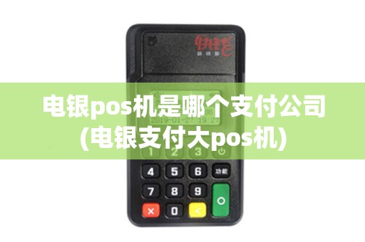 电银pos机是哪个支付公司(电银支付大pos机)