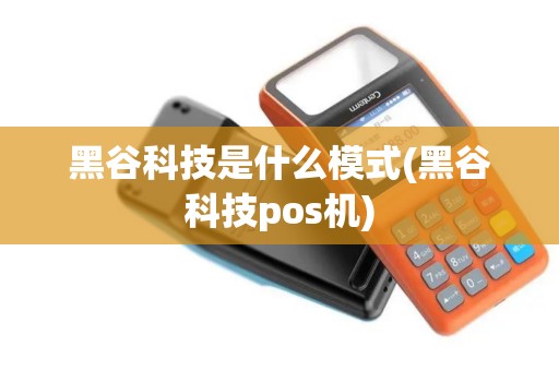 黑谷科技是什么模式(黑谷科技pos机)
