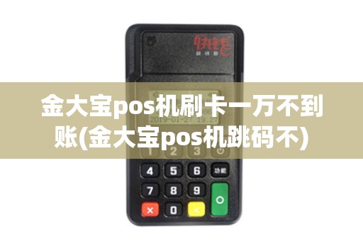 金大宝pos机刷卡一万不到账(金大宝pos机跳码不)
