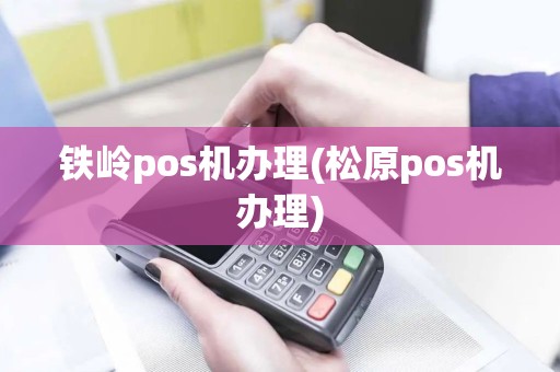 铁岭pos机办理(松原pos机办理)