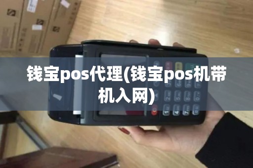 钱宝pos代理(钱宝pos机带机入网)