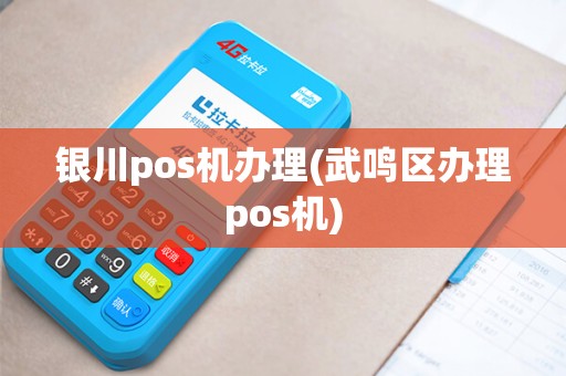 银川pos机办理(武鸣区办理pos机)