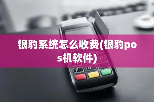 银豹系统怎么收费(银豹pos机软件)
