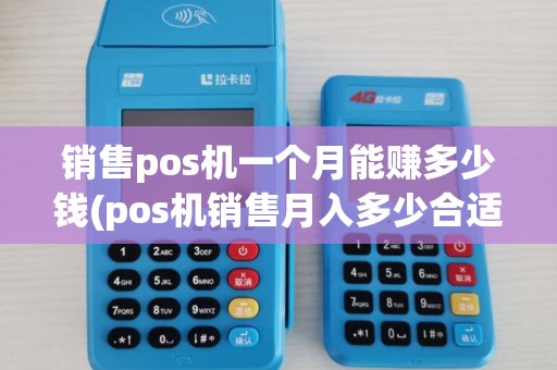 销售pos机一个月能赚多少钱(pos机销售月入多少合适)