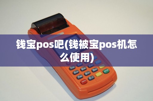 钱宝pos吧(钱被宝pos机怎么使用)