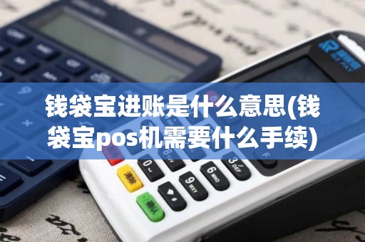 钱袋宝进账是什么意思(钱袋宝pos机需要什么手续)