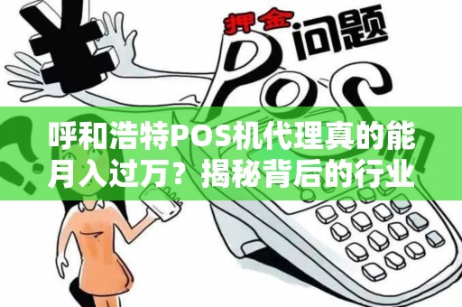 呼和浩特POS机代理真的能月入过万？揭秘背后的行业真相！