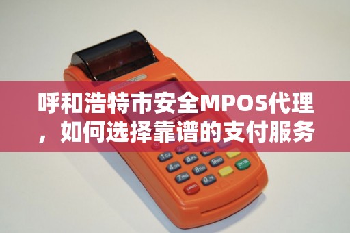 呼和浩特市安全MPOS代理，如何选择靠谱的支付服务商？
