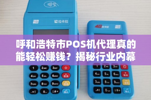 呼和浩特市POS机代理真的能轻松赚钱？揭秘行业内幕与避坑指南！